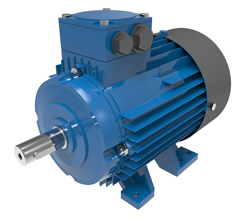 hydraulic motor
